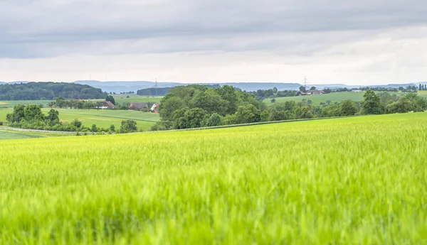 Ländliche Landschaft im Hohenlohekreis — Stockfoto