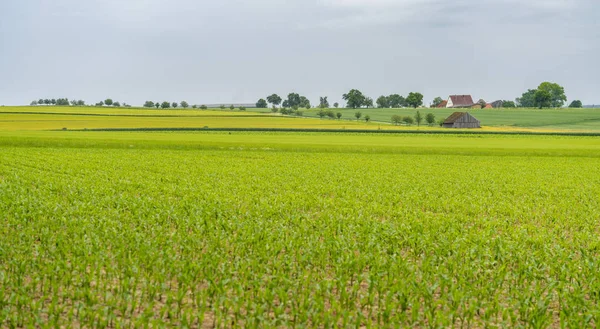 Paisaje rural en Hohenlohe —  Fotos de Stock