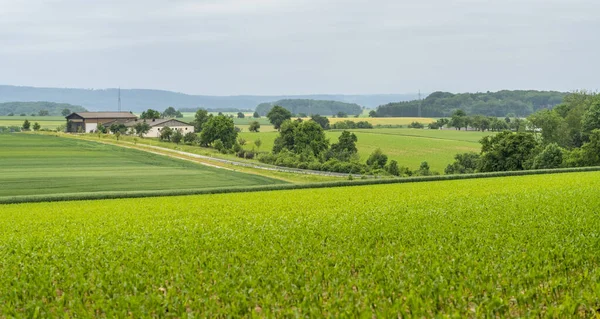 Paisagem rural em Hohenlohe — Fotografia de Stock