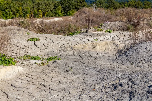 乾いた大地をはじめとする乾燥した風景 — ストック写真