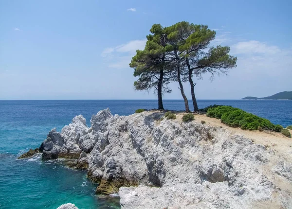 Bäume Bei Amarantos Felsen Auf Der Insel Skopelos Den Sporaden — Stockfoto