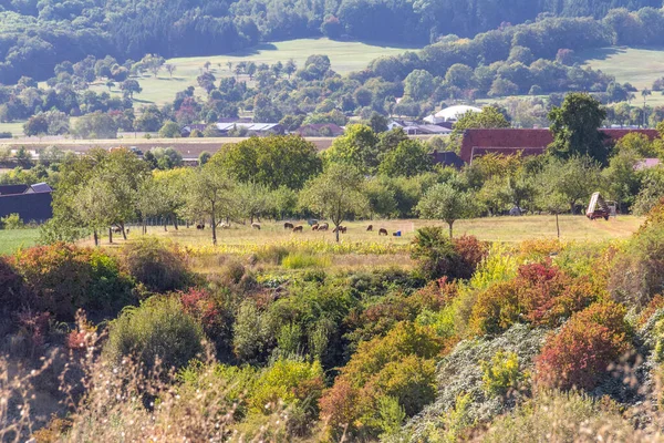 Αγροτικό Τοπίο Στη Νότια Γερμανία Φθινόπωρο — Φωτογραφία Αρχείου