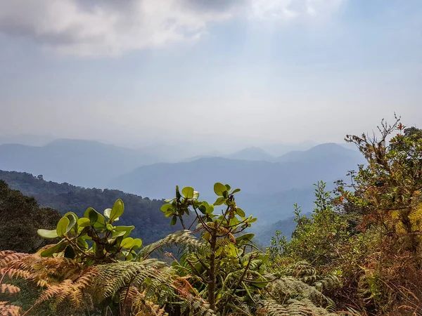 Paisagem Natural Torno Cerro Kennedy Área Sierra Nevada Santa Marta — Fotografia de Stock