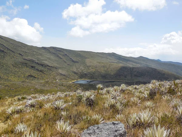 Scenery Chingaza National Natural Park Colombia — Stock Photo, Image