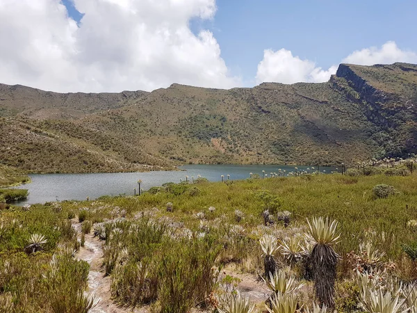 Paisaje Parque Nacional Natural Chingaza Colombia — Foto de Stock