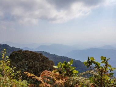 natural scenery around Cerro Kennedy at the Sierra Nevada De Santa Marta area in Colombia clipart