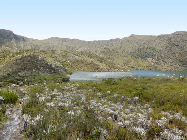 Scenery Chingaza National Natural Park Colombia — Stock Photo, Image