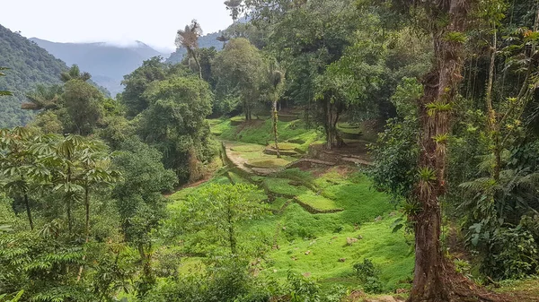 Paysage Autour Ville Perdue Nommé Ciudad Perdida Colombie — Photo