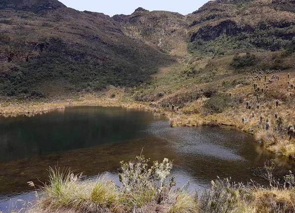 Andes Τοπίο Γύρω Από Λίμνη Iguaque Στην Κολομβία — Φωτογραφία Αρχείου