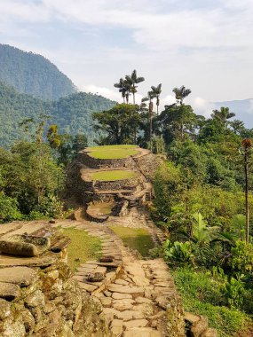 scenery around the Lost City named Ciudad Perdida in Colombia clipart