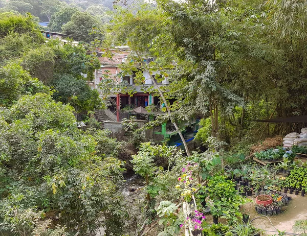 Kolombiya Minca Adında Küçük Bir Köyün Manzarası — Stok fotoğraf