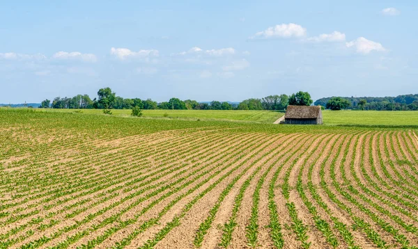 Sonnige Idyllische Agrarlandschaft Süddeutschland Zur Frühlingszeit — Stockfoto