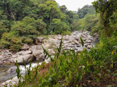 riverside scenery around the Sierra Nevada de Santa Marta in Colombia clipart
