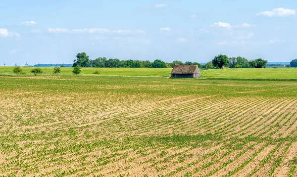 Sonnige Idyllische Agrarlandschaft Süddeutschland Zur Frühlingszeit — Stockfoto