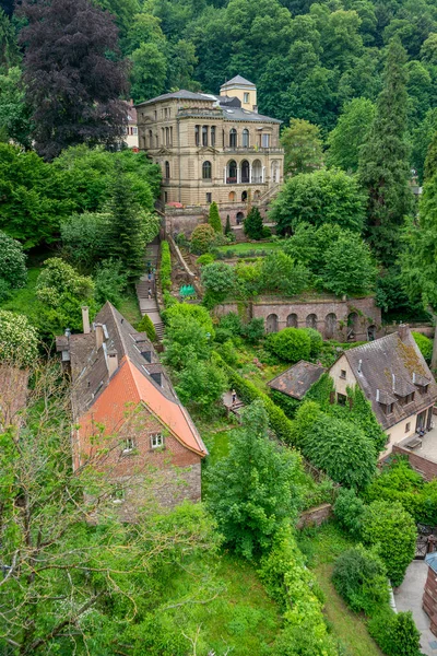 Magas Látószögű Kilátás Mutat Néhány Történelmi Épületek Heidelberg Németországban Nyáron — Stock Fotó