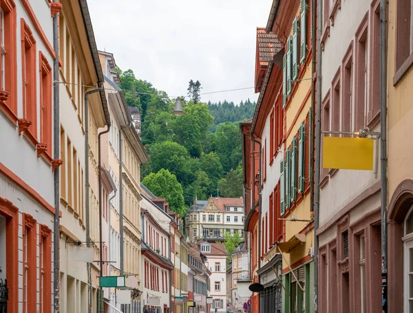 Výhled Město Heidelberg Německu Letním Období — Stock fotografie