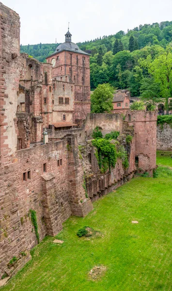 Die Ruine Des Heidelberger Schlosses Zur Sommerzeit — Stockfoto