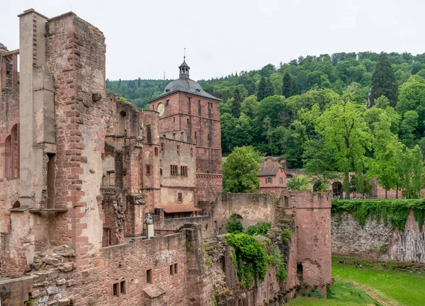 Ruiny Zamku Heidelberg Niemczech Okresie Letnim — Zdjęcie stockowe