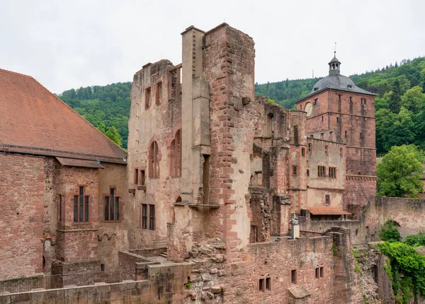 Ruiny Zamku Heidelberg Niemczech Okresie Letnim — Zdjęcie stockowe