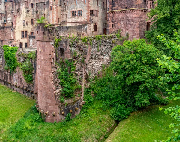 Die Ruine Des Heidelberger Schlosses Zur Sommerzeit — Stockfoto