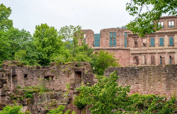 Heidelberg Kastély Romjai Németországban Nyáron — Stock Fotó