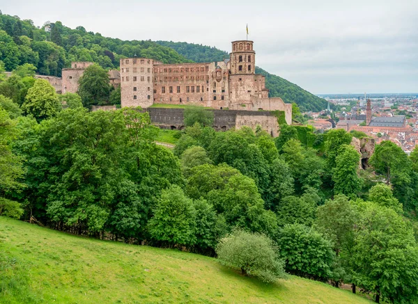 Tájkép Heidelberg Kastély Körül Németországban Nyáron — Stock Fotó