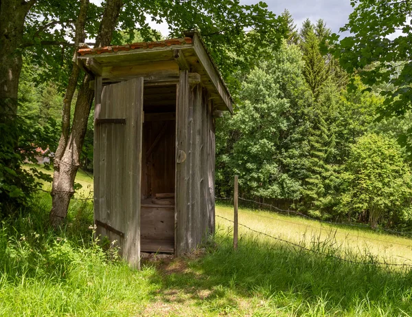 Güneşli Yeşil Atmosferde Tarihi Ahşap Çukur Tuvaleti — Stok fotoğraf
