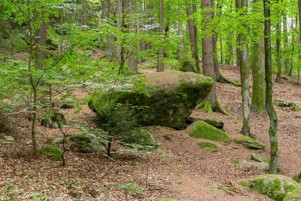 Dojem Idylické Přírodní Rezervaci Hoelle Bavorském Lese Jižním Německu Letním — Stock fotografie