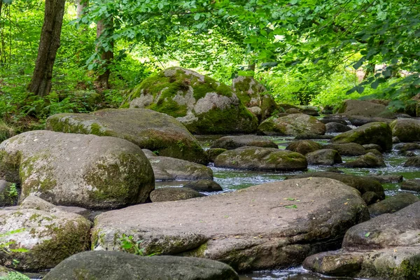 Intryck Det Idylliska Naturreservatet Hoelle Bayerska Forestin Södra Tyskland Sommaren — Stockfoto