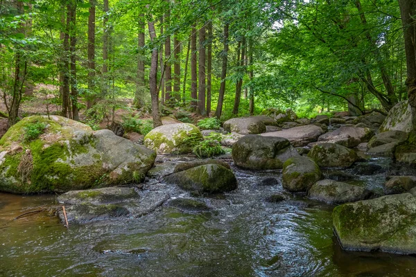 Intryck Det Idylliska Naturreservatet Hoelle Bayerska Forestin Södra Tyskland Sommaren — Stockfoto