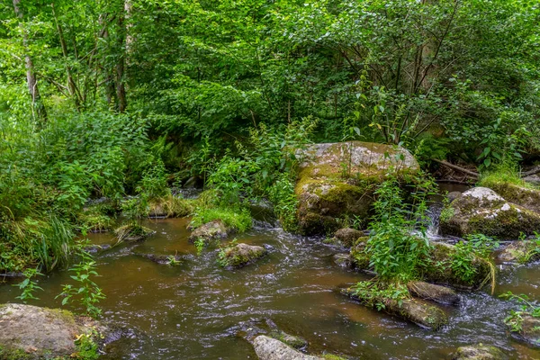 Impressione Presso Idilliaca Riserva Naturale Denominata Hoelle Nella Foresta Bavarese — Foto Stock