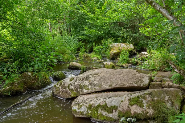 Impression Dans Réserve Naturelle Idyllique Nommée Hoelle Dans Forêt Bavaroise — Photo