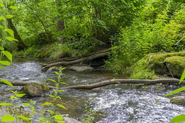 Impression Dans Réserve Naturelle Idyllique Nommée Hoelle Dans Forêt Bavaroise — Photo