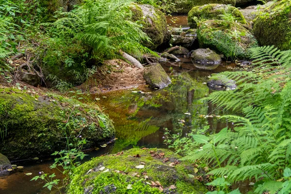 Impressão Reserva Natural Idílica Chamada Hoelle Forestin Baviera Sul Alemanha — Fotografia de Stock