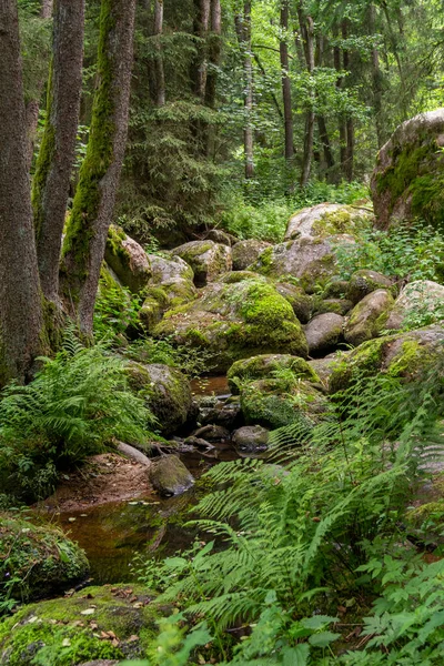 Impresión Idílica Reserva Natural Llamada Hoelle Bosque Baviera Sur Alemania — Foto de Stock