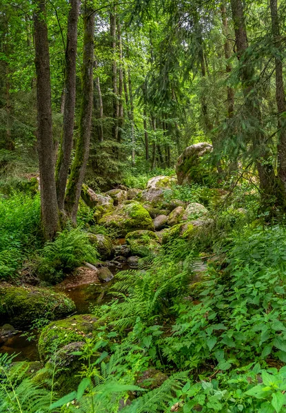 Impressione Presso Idilliaca Riserva Naturale Denominata Hoelle Nella Foresta Bavarese — Foto Stock