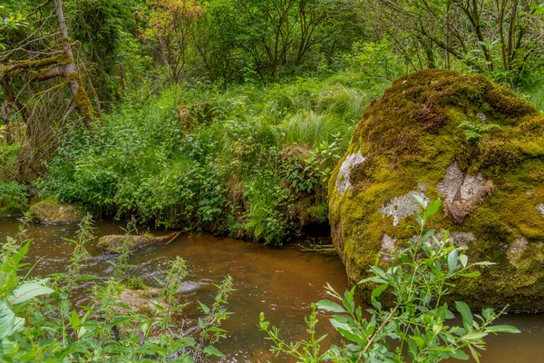 Impresión Idílica Reserva Natural Llamada Hoelle Bosque Baviera Sur Alemania — Foto de Stock