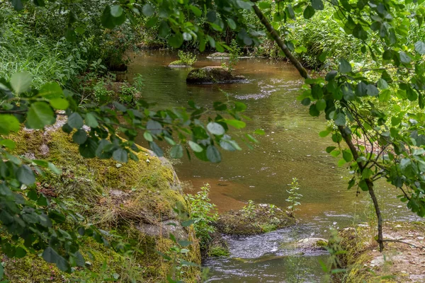 Impressione Presso Idilliaca Riserva Naturale Denominata Hoelle Nella Foresta Bavarese — Foto Stock