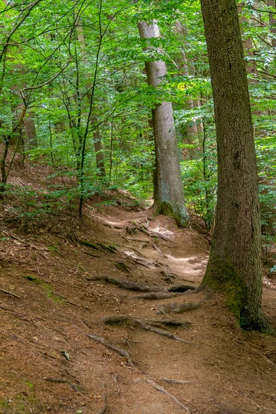 Impression Dans Réserve Naturelle Idyllique Nommée Hoelle Dans Forêt Bavaroise — Photo