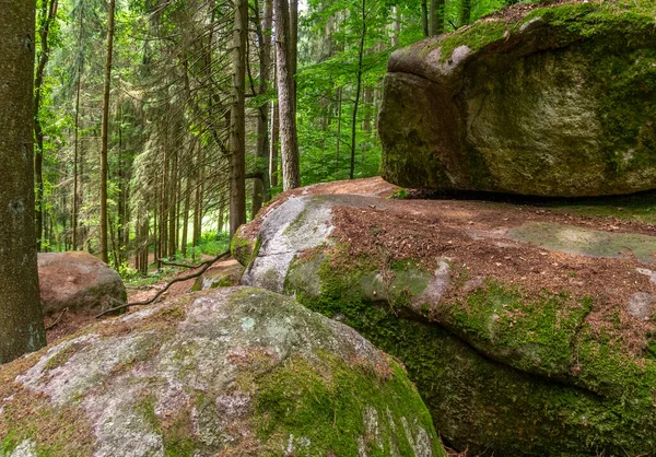 stock image impression at the idyllic nature reserve named Hoelle in the Bavarian Forestin Southern Germany at summer time