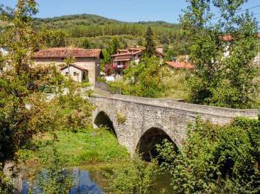 Ortaçağ köprüden Arga Nehri - Larrasoana, Navarre, İspanya