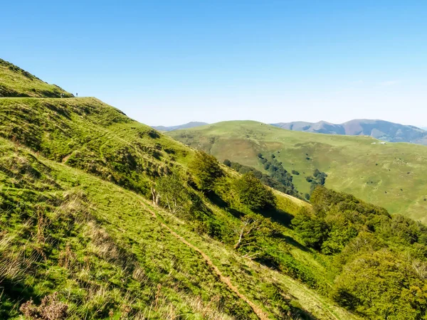 Haut Haut Sur Les Pentes Des Pyrénées Sur Camino Français — Photo