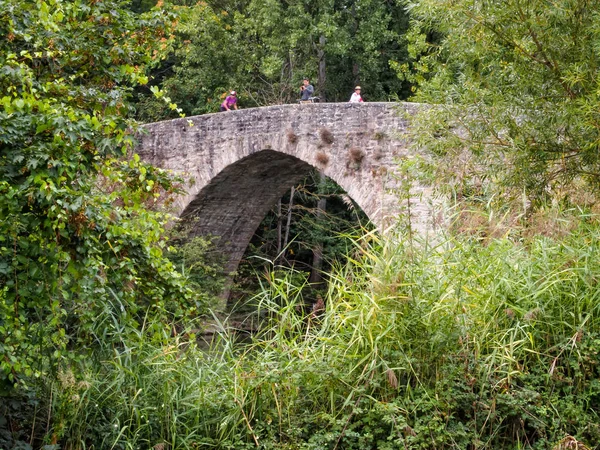 Ortaçağ Köprüsü (puente) Magdalena Arga Nehri (Rio) - Pamplona, Navarre, İspanya, 4 Eylül 2014