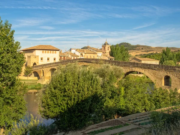 Pont Roman Xie Siècle Sur Arga Est Des Emblèmes Chemin — Photo