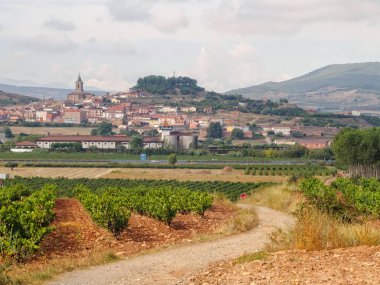Üzüm Navarette görünümünü Alto de la Grajera - La Rioja, Spain, 8 Eylül 2014 yamacında