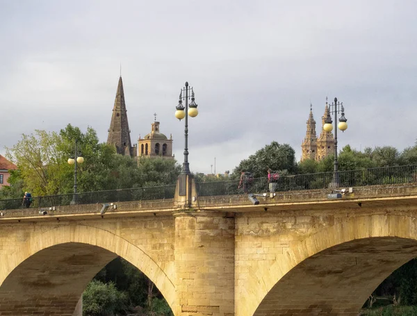 Peregrinos Cruzan Puente Piedra Sobre Río Ebro Logrono Rioja España — Foto de Stock