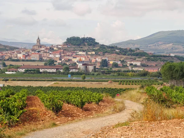 View Navarette Vineyard Slope Alto Grajera Rioja Spain September 2014 — Stock Photo, Image