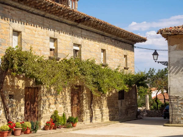 Vitigno Vecchia Casa Pietra Viloria Rioja Castiglia Len Spagna — Foto Stock