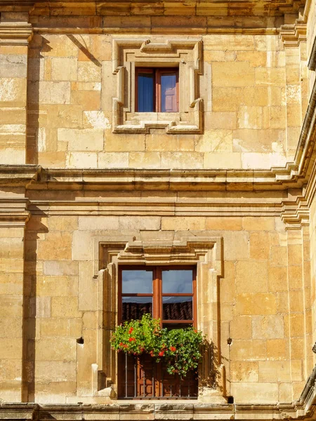 Ein Sonnenbeschienener Balkon Mit Blumen Unter Einem Quadratischen Fenster Leon — Stockfoto