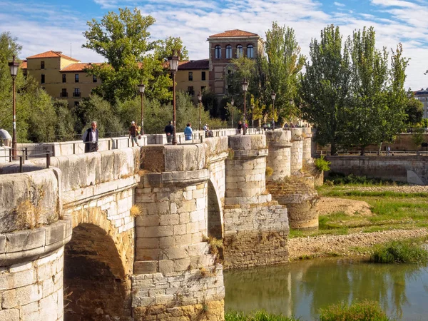 Puente San Marcos Sobre Río Bernesga León Castilla León España — Foto de Stock